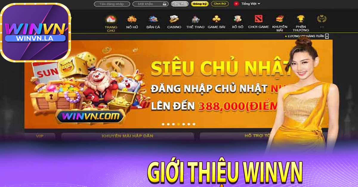 Giới thiệu Winvn tổng quan